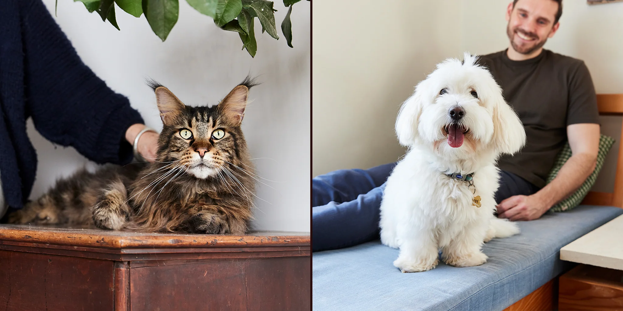 Wear Your Ambition Proudly